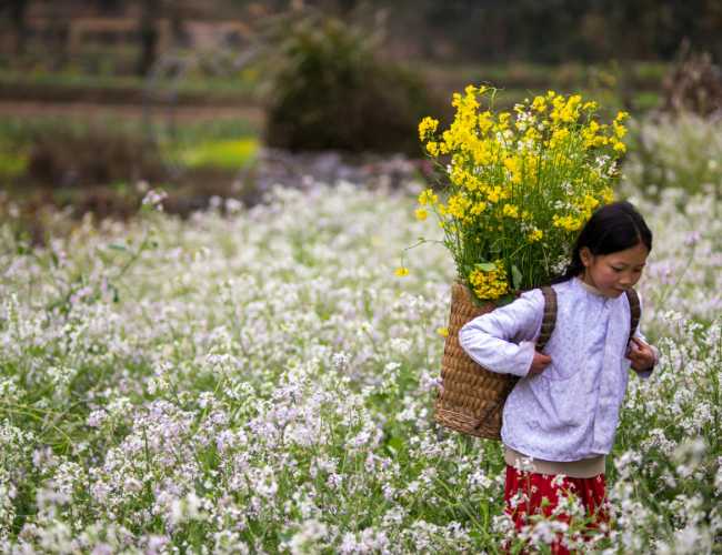 Ha Giang Province