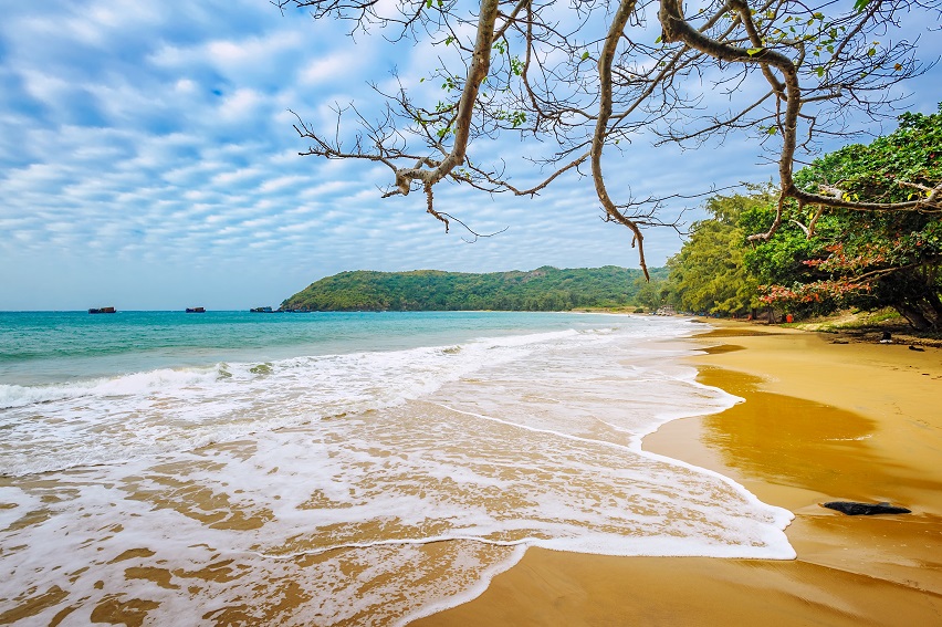Vietnam Tours