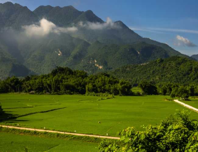 Vietnam tours from the USA